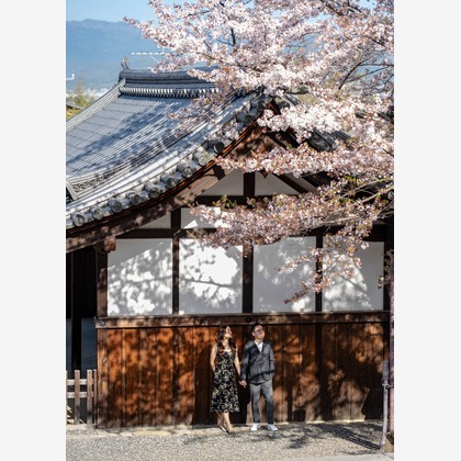 中谷新が撮影したその他/前撮り/後撮り出張撮影の写真