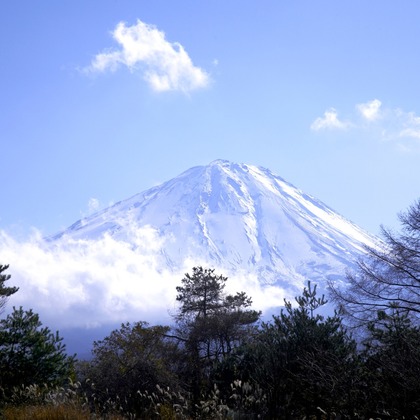 翔写真事務所が撮影した「:albumName」の写真