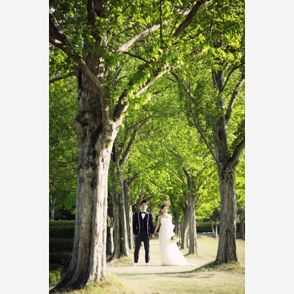 elle pupaが撮影した「:albumName」の写真