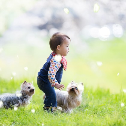 写楽堂が撮影したその他の写真