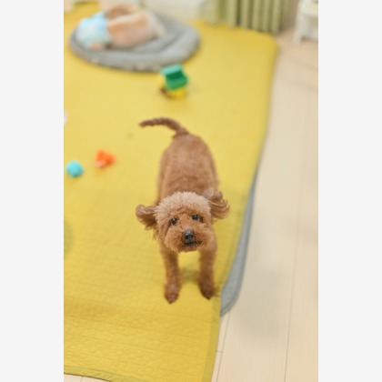 大熊和輝が撮影したウェディングや家族、ビジネスの写真