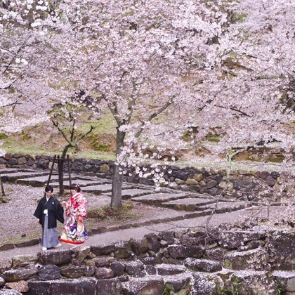 Photo of :albumName taken by Kiki photo works