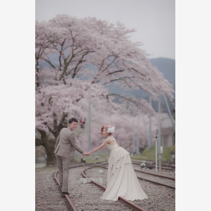  グラフィーズが撮影したウェディングや家族、ビジネスの写真