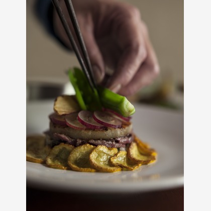 （有）プロヴィデンスが撮影した「:albumName」の写真