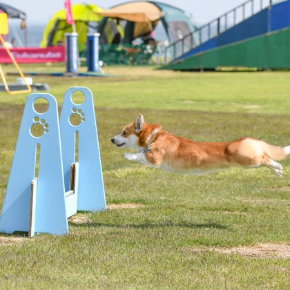 スタジオファンタスが撮影した「:albumName」の写真