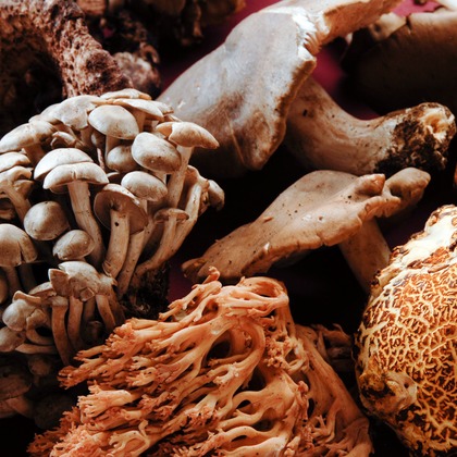 十時写真事務所が撮影した料理撮影の写真