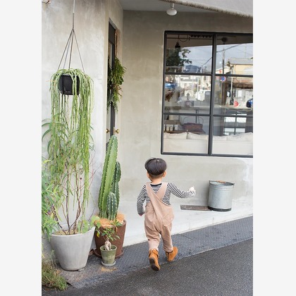 白井由香里写真事務所が撮影した「:albumName」の写真