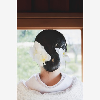 Photo of :albumName taken by ametsu