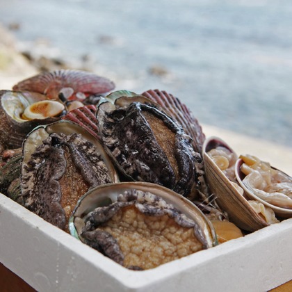 村田わかな広告写真が撮影した店舗/オフィス/サロン撮影/料理撮影/人物撮影の写真