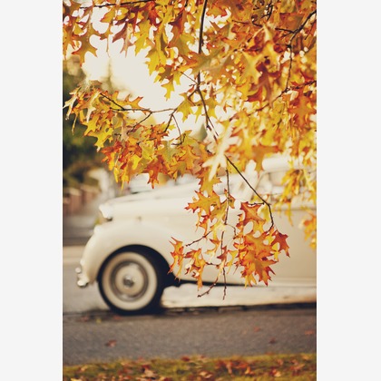 Rina Smile Photography（Rina Kakioka Kusters）が撮影したウェディングや家族、ビジネスの写真