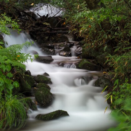 手塚隆弘が撮影したイベント/スナップ撮影の写真