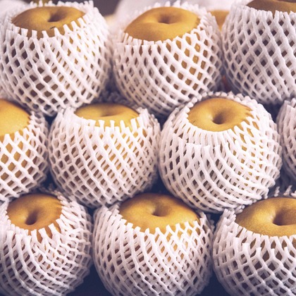 Sunstore 三條康貴が撮影したウェディングや家族、ビジネスの写真