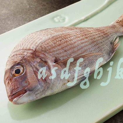 西原毅が撮影した「:albumName」の写真