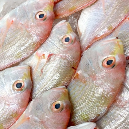 CREATIVE HOUSEが撮影した店舗/オフィス/サロン撮影/料理撮影/商品/物撮り/動画撮影の写真