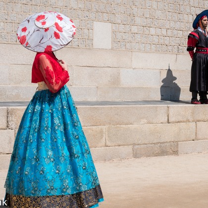 Photo Linkが撮影した「:albumName」の写真