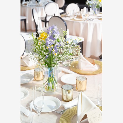 大橋　道裕が撮影した「:albumName」の写真