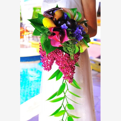 今林 浩一が撮影した「:albumName」の写真