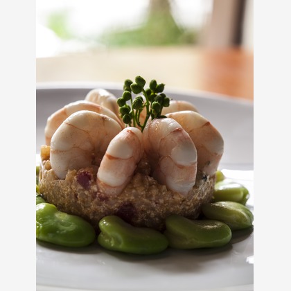 （有）プロヴィデンスが撮影した「:albumName」の写真