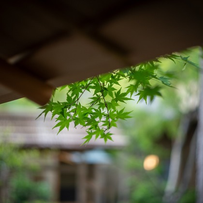 スタジオ桜が撮影した不動産/竣工の写真