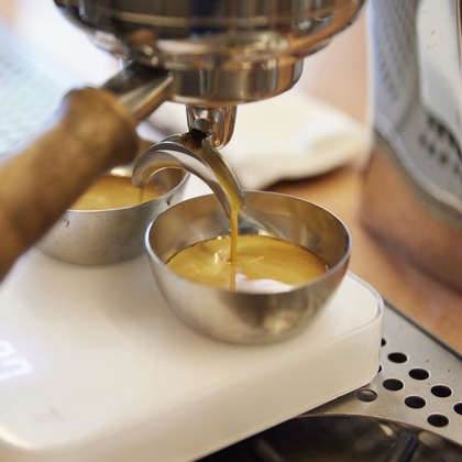 bluevalleyが撮影した「:albumName」の写真