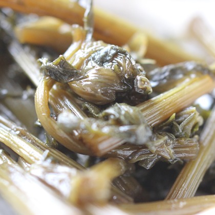 渡邉博海が撮影した「:albumName」の写真