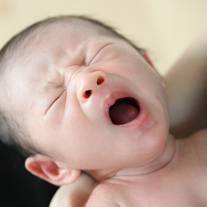 寫樂斎が撮影した「:albumName」の写真