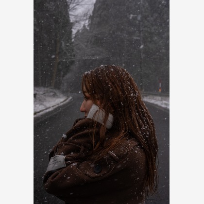 小川大輝が撮影した「:albumName」の写真