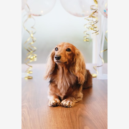 外川博己が撮影したその他の写真