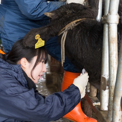 kentarou shimizuが撮影した「:albumName」の写真