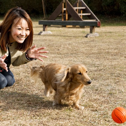 クマが撮影した「:albumName」の写真