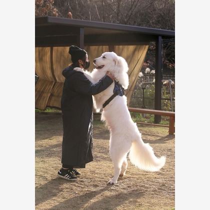 株式会社Photo Luckyが出張撮影した肉食動物, おもちゃの犬, 犬の服が写った家族写真(キッズ,ベビーフォト)の写真
