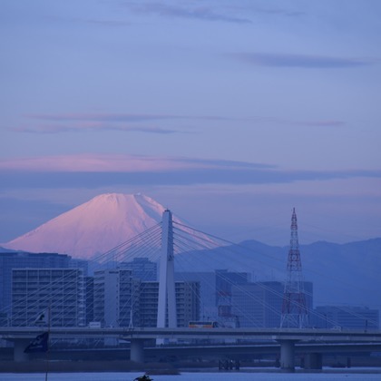 猫屋敷温が撮影した「:albumName」の写真