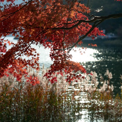 三谷 朋也が撮影したその他の写真