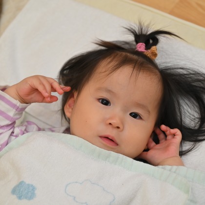 杉野優介が撮影した「:albumName」の写真