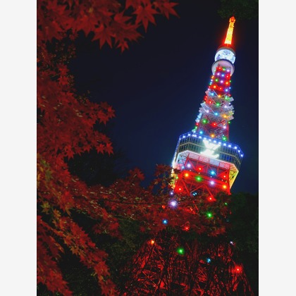 鈴木賢志が撮影した旅行先の記念撮影の写真