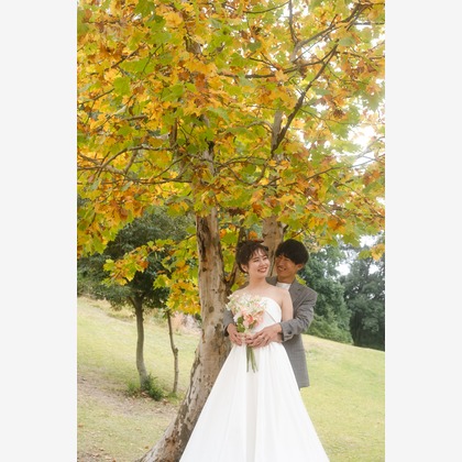 石田誠写真事務所が撮影した「:albumName」の写真