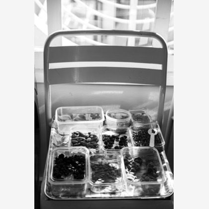 馬渕　智史が撮影した「:albumName」の写真