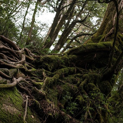 舘　典志が撮影したその他/イベント/スナップ撮影の写真