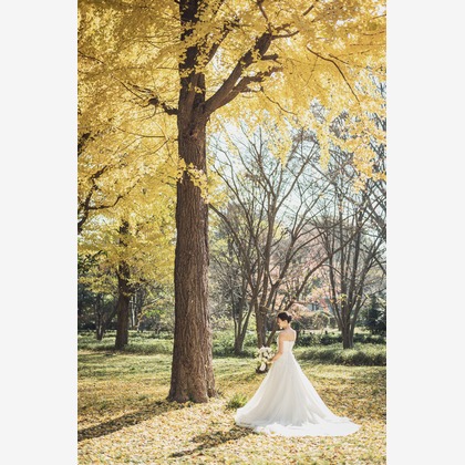 長濱崇が撮影した結婚式撮影の写真