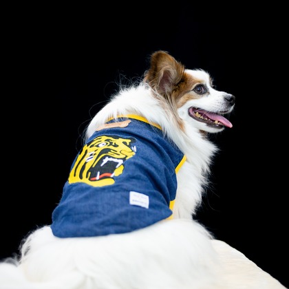 スマイルチューンが撮影した「ペット撮影」の写真