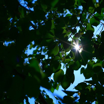 blink photoが撮影したウェディングや家族、ビジネスの写真