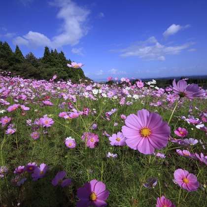 写真屋gonree　阿波根里恵が撮影した旅行先の記念撮影の写真