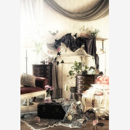 kiharu&photoが撮影した「:albumName」の写真