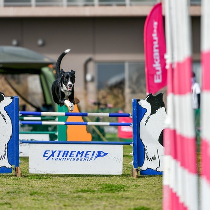 スタジオファンタスが撮影した「:albumName」の写真