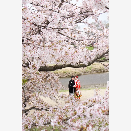 Photo of :albumName taken by Smilehunter