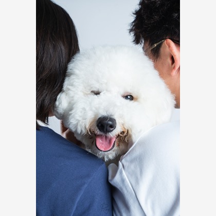 Ray Yamaguchiが撮影した「:albumName」の写真