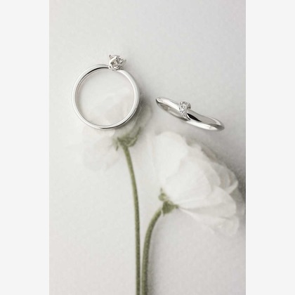 木村慎が撮影した商品/物撮りの写真