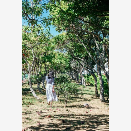 ポートレート沖縄が撮影した「:albumName」の写真