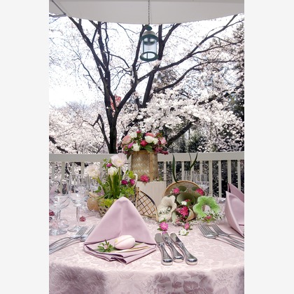 十時写真事務所が撮影した「:albumName」の写真