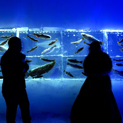 AMVER inc.が撮影したウェディングや家族、ビジネスの写真